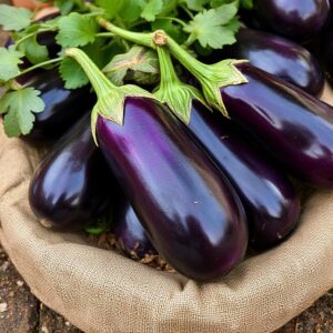 Brinjal (Baingan)